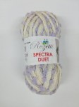 Spectra duet-131-01 img_20171206_155848