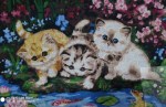 img_20201207_183432