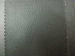 Skaj-1029 img_2539